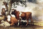 paulus potter The bull. oil painting picture wholesale